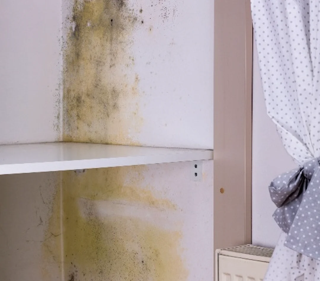 How to Prevent Mould in Wardrobe